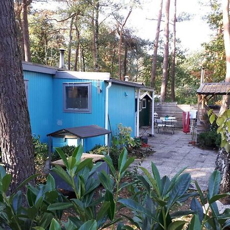 Boshuis Turquoise / Smaakvol Genieten Op De Veluwe Hoenderloo Bagian luar foto