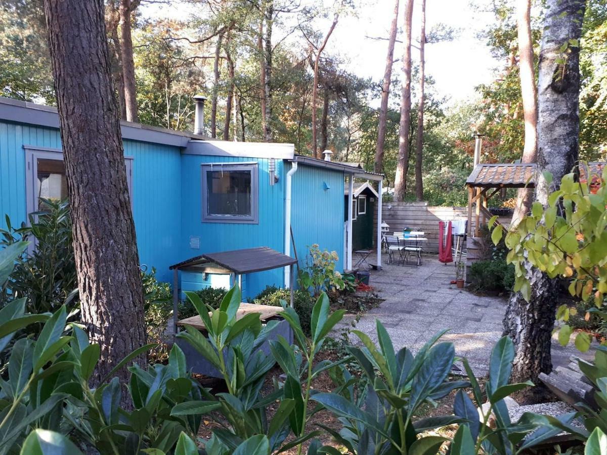Boshuis Turquoise / Smaakvol Genieten Op De Veluwe Hoenderloo Bagian luar foto