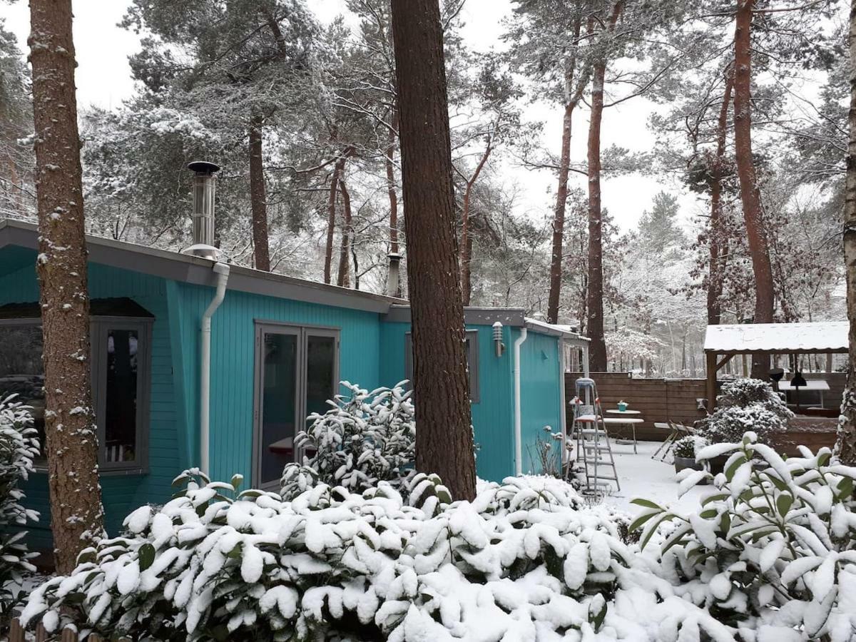 Boshuis Turquoise / Smaakvol Genieten Op De Veluwe Hoenderloo Bagian luar foto