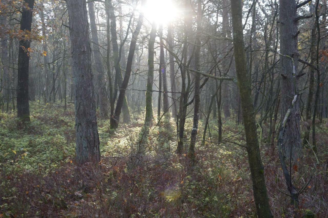 Boshuis Turquoise / Smaakvol Genieten Op De Veluwe Hoenderloo Bagian luar foto