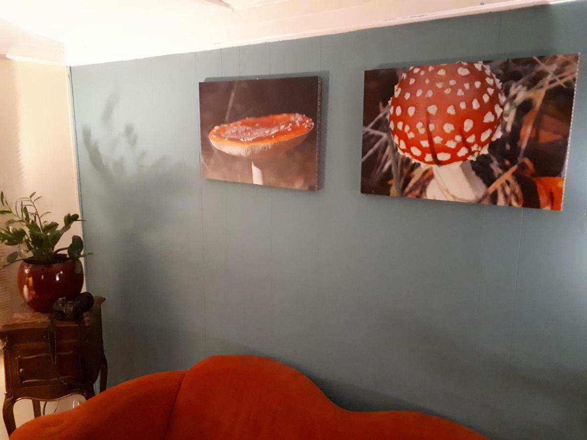 Boshuis Turquoise / Smaakvol Genieten Op De Veluwe Hoenderloo Bagian luar foto