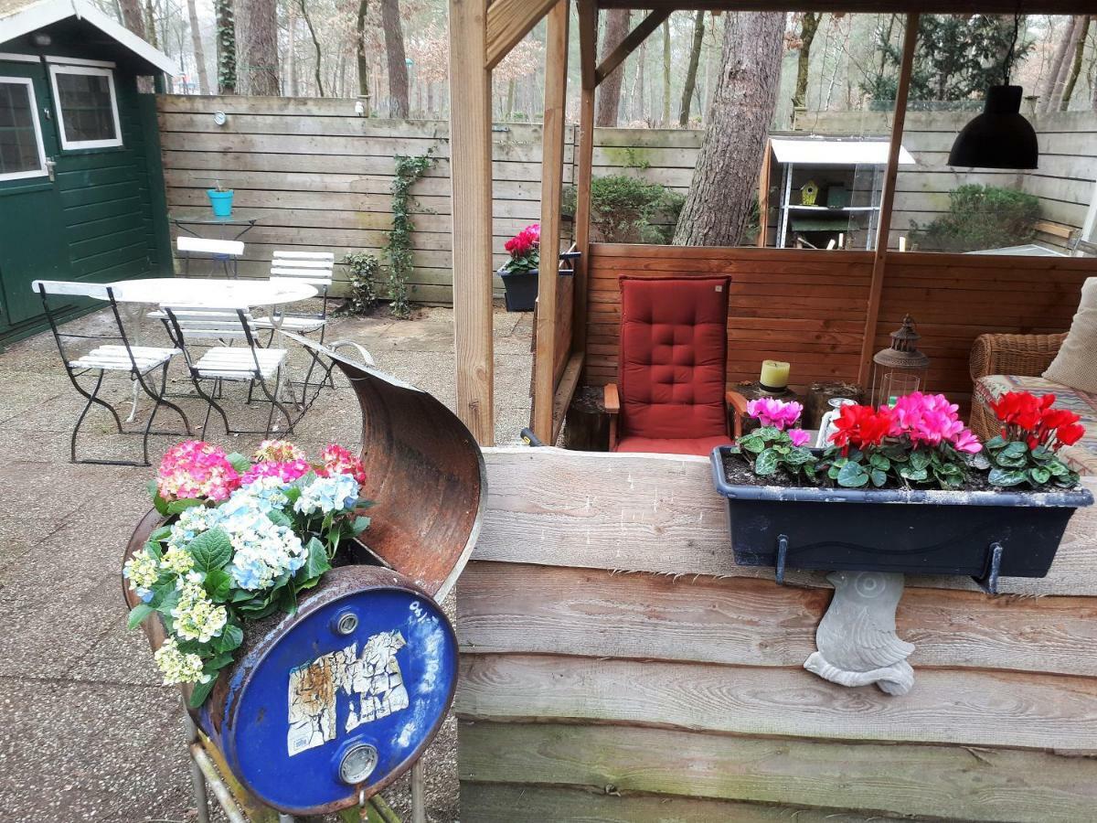 Boshuis Turquoise / Smaakvol Genieten Op De Veluwe Hoenderloo Bagian luar foto